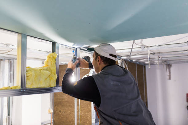 Best Types of Insulation in Edgewater, CO