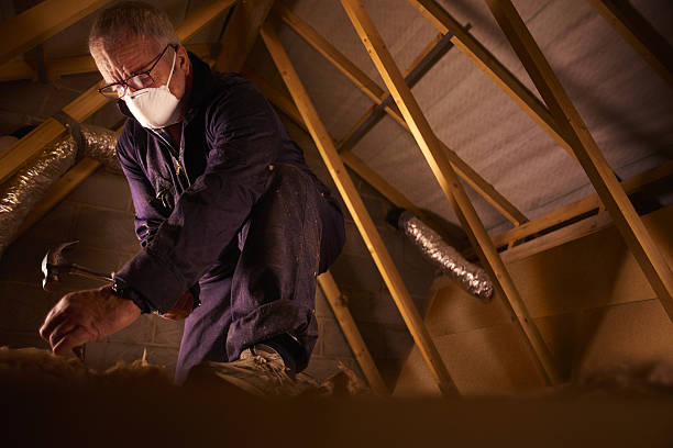 Best Types of Insulation in Edgewater, CO